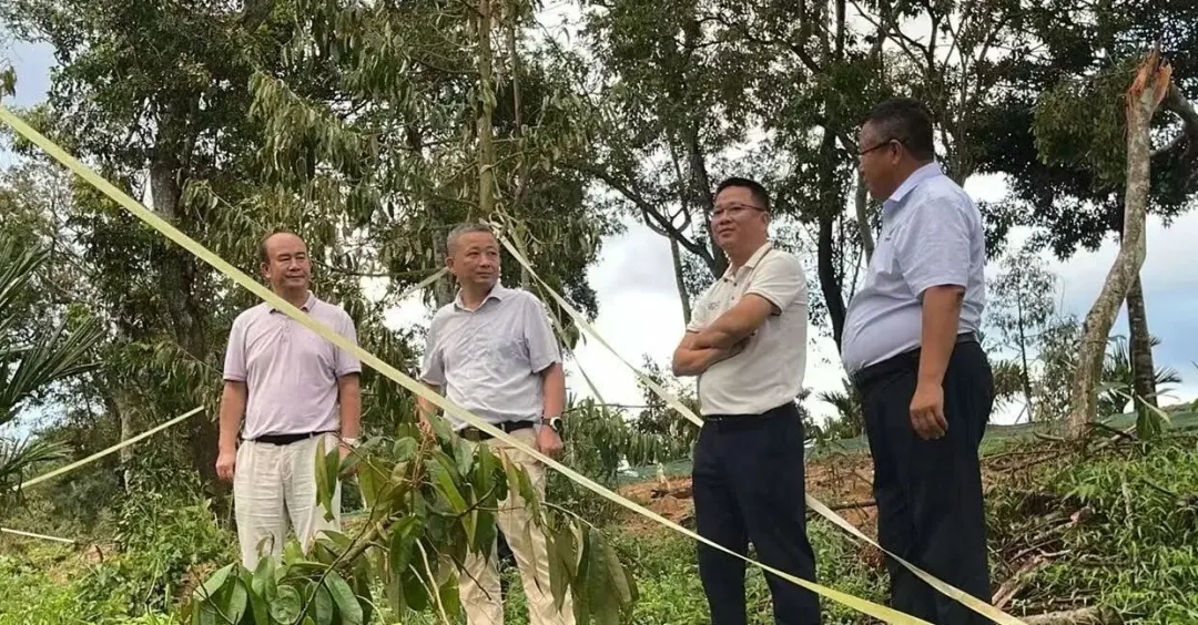 王宏向赴烏石、立才、金江分公司調研